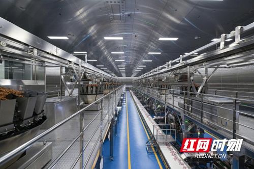 清華大學(xué)學(xué)子走進(jìn)勁仔食品，共探“科研興企”新路徑